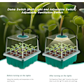 Miniatyrbillede 5 af 5: 5-delt minivæksthus til planteformering med sollignende fuldspektrum plantelamper, med låg og ventilation, 10 etiketter, 2 værktøjer