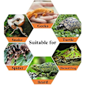 Miniatyrbild 3 av 5: Reptilmatningslåda Avelsbox, Bärbar Akryl Transparent