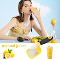 Miniatyrbild 2 av 4: Manuell citruspress i rostfritt stål för hemmet - 2 i 1 citruspress f