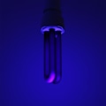 Miniatyrbillede 5 af 11: 220V 30W E27 Ultraviolet sort lyspære UV myggedræbende lampe glødepærer