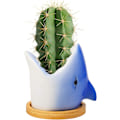 Pikkukuva 1 / 5: Posliininen istutusastia, kaktus mehikasvi istutusastia koristelu-Shark Blue