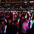 Miniatyrbilde 8 av 8: 30 stk skumlys LED rally karneval flerfarget heiar one size