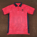 Pikkukuva 4 / 4: 2024 Albania Kotipaita Authentic XXL