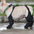 Miniatyrbild 9 av 11: Vattentäta justerbara hundstövlar för husdjur i gummi för O blackS S