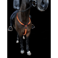 Miniatyrbilde 3 av 4: LED bryststropp for hest. LADDBAR. PONNI/COB