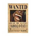 Pikkukuva 7 / 8: 10 kpl Juliste One Piece Wanted Juliste Luffy Paper decor 10 pcs/set