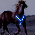 Miniatyrbillede 4 af 5: 1/2/3/5 justerbar LED-hestebrystkrave meget synlig Blue-FA3- Blue 1 Pc