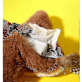 Miniatyrbild 5 av 5: Elektronisk Interaktiv Flygande Fågel Katt Leksak Hängande Husdjur Fladdrande Vingar Sparv