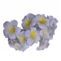 Miniatyrbillede 2 af 5: Frangipani - Batteridrevne kunstige lyskæder til Chris
