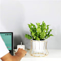 Miniatyrbilde 2 av 5: Metallplanterstativholder innendørs utendørs blomsterpotteplanter