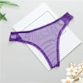 Pikkukuva 5 / 5: Seksikäs Mesh Tanga Naisten Alusvaatteet Läpinäkyvä Ultra Ohut G-string Alusvaatteet Naiset Saumattomat Alushousut