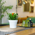 Miniatyrbild 3 av 5: Set med 6 vita plastkrukor med ventilationsbevattningssystem för balkong utomhus inomhusträdgård