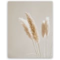 Miniatyrbillede 4 af 4: Tavla Canvas Tryck Pampas Græs Planter Natur Landskab Tørret Græs Moderne Boho Botanisk Plakat Galleri Billeder 20x30cm(8x12in) x3 Uindrammet