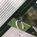 Miniatyrbillede 2 af 5: Pakke med 50 drivhusklemmer - Drivhusklemmer - Nem installation Lille drivhus Sort plastikklemme Fast spænde til kurv Blomsterpotte 50 stk