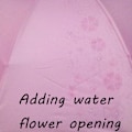 Pikkukuva 2 / 5: Damparasoll Paraply UV-skydd för kvinnor Parasol Lätt Anit-UV Paraplyer för Sommarsolskydd Princess Pink