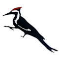 Pikkukuva 1 / 7: Hackspett-ulkotila-koristeellinen rauta-lintu riippuva aita terassi