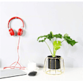 Miniatyrbilde 4 av 5: Metallplanterstativholder innendørs utendørs blomsterpotteplanter