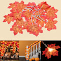 Miniatyrbillede 1 af 5: Maple Leaf Lighting 2-pak 3M 20 LED udendørs efterårsguirlande