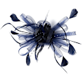 Miniatyrbillede 5 af 5: Elegant Fascinator til kvinder, hat med fjer, hårklemme, tilbehør