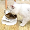 Miniatyrbilde 4 av 4: Dobbel matskål med hevet stativ for katter og små hunder