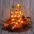 Miniatyrbilde 2 av 5: Thanksgiving-dekorasjon 3D Ekorre lysstreng 4m 40 LED Vanntett