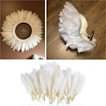 Miniatyrbillede 2 af 10: 100 stk/ Sæt Gåsefjer Diverse Fjer HVID white