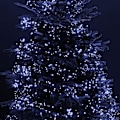 Miniatyrbild 4 av 5: Ljusstarka 20 m 200 LED-julljus, julljusslingor med kontakt, vit-FA6- White 200 LED