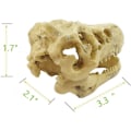 Miniatyrbillede 3 af 3: Akvarieindretning Resin Emulational Skull - dinosaur skull skelet