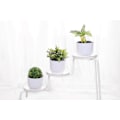 Miniatyrbild 2 av 4: Självbevattnande blomkruka med veke, plast, liten, set om 6