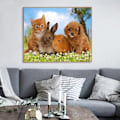 Pikkukuva 3 / 5: Hyvälaatuinen Paintboy Animal Diy Diamond -maalaus numeroittain