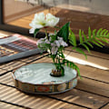 Miniatyrbilde 6 av 11: Blomsterfakir Kenzan Pin Holder Nål Ikebana Mix 3 L 2-Pack