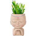 Miniatyrbillede 5 af 5: Sød ansigtspotte, kvindehovedfigur vase, harpiks sukkulentpotte