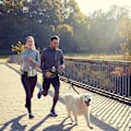 Miniatyrbilde 5 av 5: Hundpromenader Fanny Pack med handsfree kobbel Justerbar løpe midje Pack Svart-SS1-