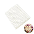 Miniatyrbillede 1 af 5: Cake Pop Pinnar Klubbpinnar 10cm, 100 stk Varm Hvid