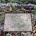 Miniatyrbild 4 av 6: Transparent presenning vattentät möbelskydd - Perfekt 2X5M