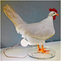 Miniatyrbillede 4 af 4: Æglampe Påske Taxidermi Kylling Æglampe Hane Bordlampe baklykta