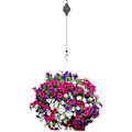 Miniatyrbillede 3 af 7: 4 planteophæng, indbygget blomsterkrog Justerbar fugl - Perfet