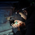Miniatyrbillede 3 af 4: Genopladelig pandelampe 2-pak, superlys og let LED-pandelampe, justerbar vinkel og remhovedlampe, vandtæt strålelygte lommelygte til løb