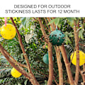 Miniatyrbilde 4 av 8: 8 stk Hengende Fluesnapper Ball Frukt Fluesnapper Sticky Trap Utendørs Skadedyr Felle for Hageplanter 1.1