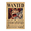 Miniatyrbillede 4 af 8: 10 stk. One Piece Wanted Poster Luffy Papir Dekoration 10 pcs/set