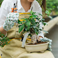 Pikkukuva 3 / 5: Alumiinilanka Tee-se-itse-askartelu Bonsai Stereotyypit Kutomamme Värillinen alumiinilanka Bonsai-puu Käsityön värjäys Alumiinioksidilanka Ruskea Setti 1 setti