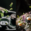 Miniatyrbild 7 av 11: Blomsterfakir Kenzan Pin Holder Nål Ikebana Mix 3 L 2-Pack