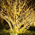 Miniatyrbillede 5 af 5: 20m 200 LED-strenge 8 tilstande vandtætte USB-fe-lys varm hvid