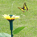 Miniatyrbillede 8 af 10: Solcelledrevet Dansende Flade Sommerfugle Flyvende Kolibri Haveplanter Blomster Stake Have Græsplæne Dekoration Mix Farve Hummingbird Mix Color
