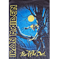 Miniatyrbillede 4 af 4: Iron Maiden Fear of the Dark T-shirt Sort XL Black