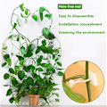 Miniatyrbild 5 av 5: 50-pack växtklämmor självhäftande växtklättring väggfästen