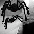 Pikkukuva 4 / 4: Halloween-koriste, jättimäinen taipuisa hämähäkki, pehmolelu, sisä- ja ulkokäyttöön