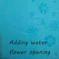 Miniatyrbild 2 av 5: Damparasoll Paraply UV-skydd för kvinnor Parasol Lätt Anit-UV Paraplyer för Sommarsolskydd Sky Blue
