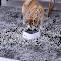 Miniatyrbillede 5 af 5: Vandskål til hund, hundeskål spildsikker vandskål til kæledyr 1035 ml, langsom vanddispenser