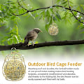 Pikkukuva 5 / 5: Pieces Wild Bird Feeders, ulkolintujen ruokintalaitteet, pallomainen riippuva lintujen ruokintalaite, metalliset riippuvat lintujen ruokintalaitteet, lintujen ruokintalaite